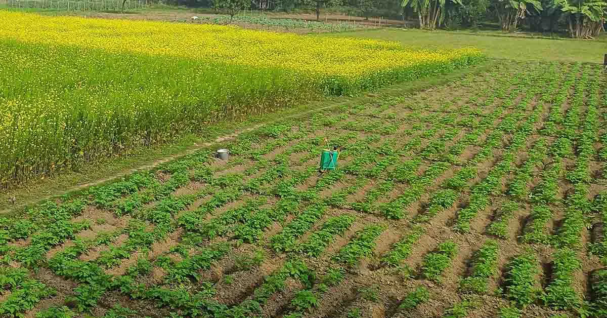 Extensive farming in india