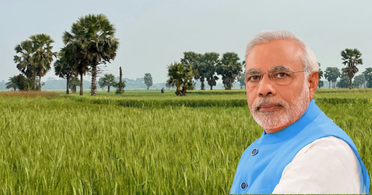 Indian Prime Minister Narendra Modi standing in a lush green agricultural field with palm trees in the background, symbolizing rural development and agriculture progress