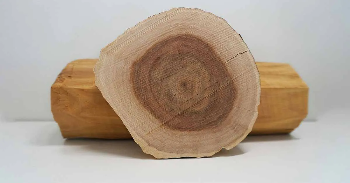 Sandalwood: Types, Uses, Benefits & Cultivation Guide in India