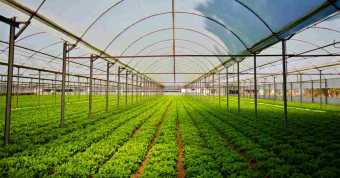 फार्मिंग के प्रकार: जीविका और वाणिज्यिक खेती के फायदे और विधियाँ