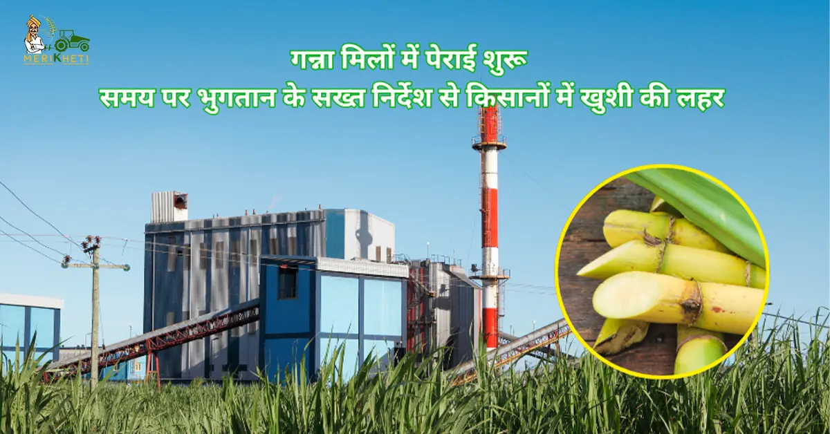 गन्ना मिलों में पेराई शुरू: समय पर भुगतान के सख्त निर्देश से किसानों में खुशी की लहर 