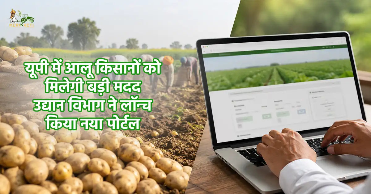 यूपी में आलू किसानों को मिलेगी बड़ी मदद, उद्यान विभाग ने लॉन्च किया नया पोर्टल