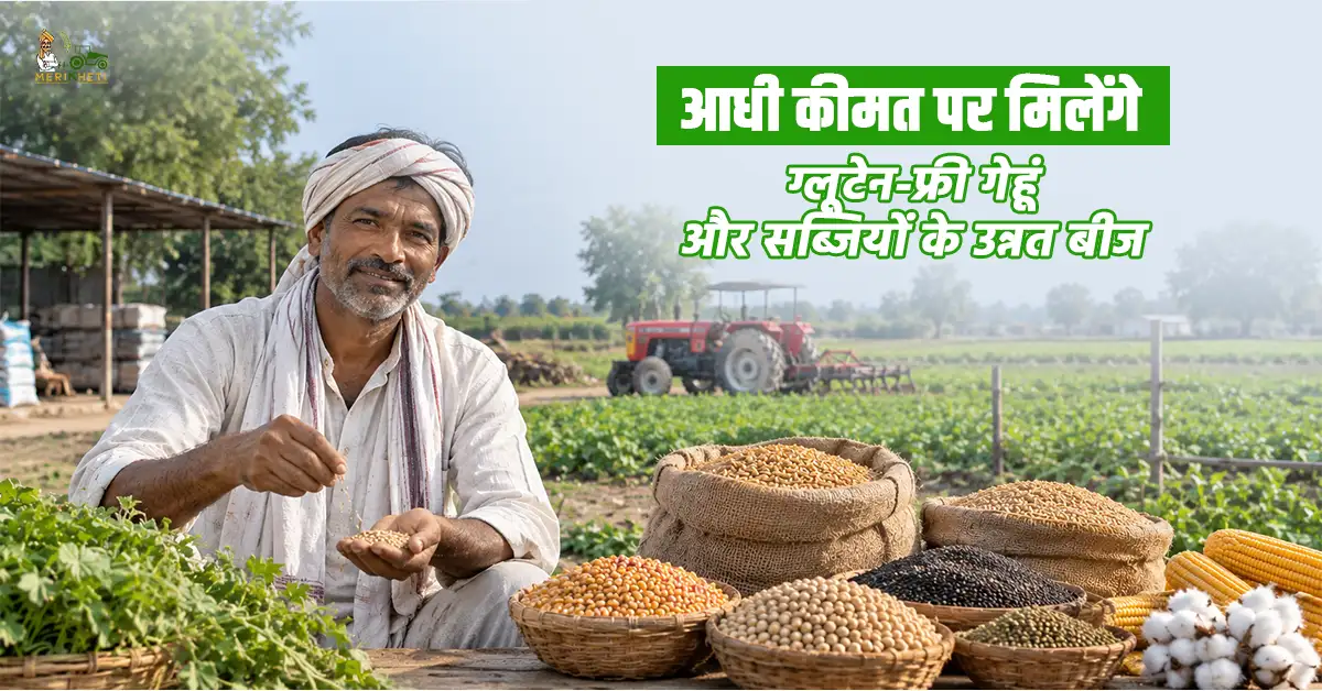 किसानों के लिए खुशखबरी: आधी कीमत पर मिलेंगे ग्लूटेन-फ्री गेहूं और सब्जियों के उन्नत बीज