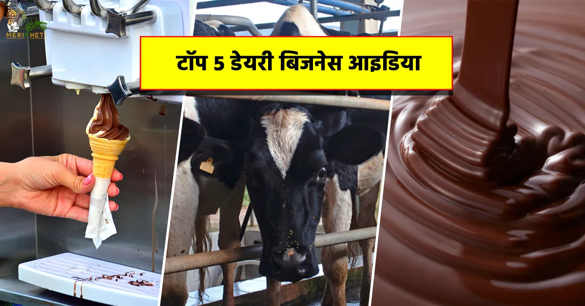 टॉप 5 डेयरी बिजनेस आइडिया: किसान करें लाखों की कमाई