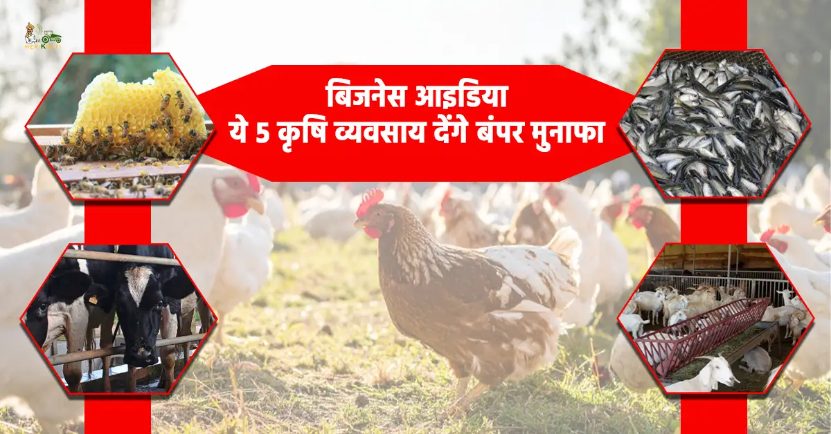 बिजनेस आइडिया: ये 5 कृषि व्यवसाय देंगे बंपर मुनाफा