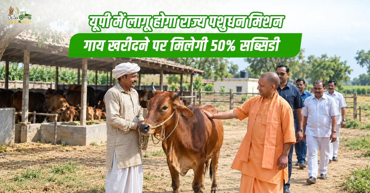 यूपी में लागू होगा राज्य पशुधन मिशन, गाय खरीदने पर मिलेगी 50% सब्सिडी
