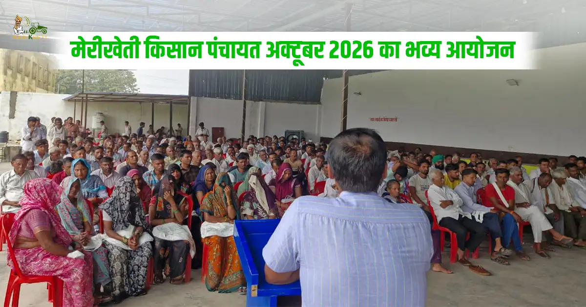 मेरीखेती किसान पंचायत अक्टूबर 2026: रबी फसलों पर हुई महत्वपूर्ण चर्चा