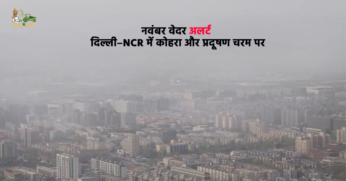 नवंबर वेदर अलर्ट: दिल्ली–NCR में कोहरा और प्रदूषण चरम पर, कई राज्यों में शीतलहर और दक्षिण भारत में तेज बारिश का खतरा