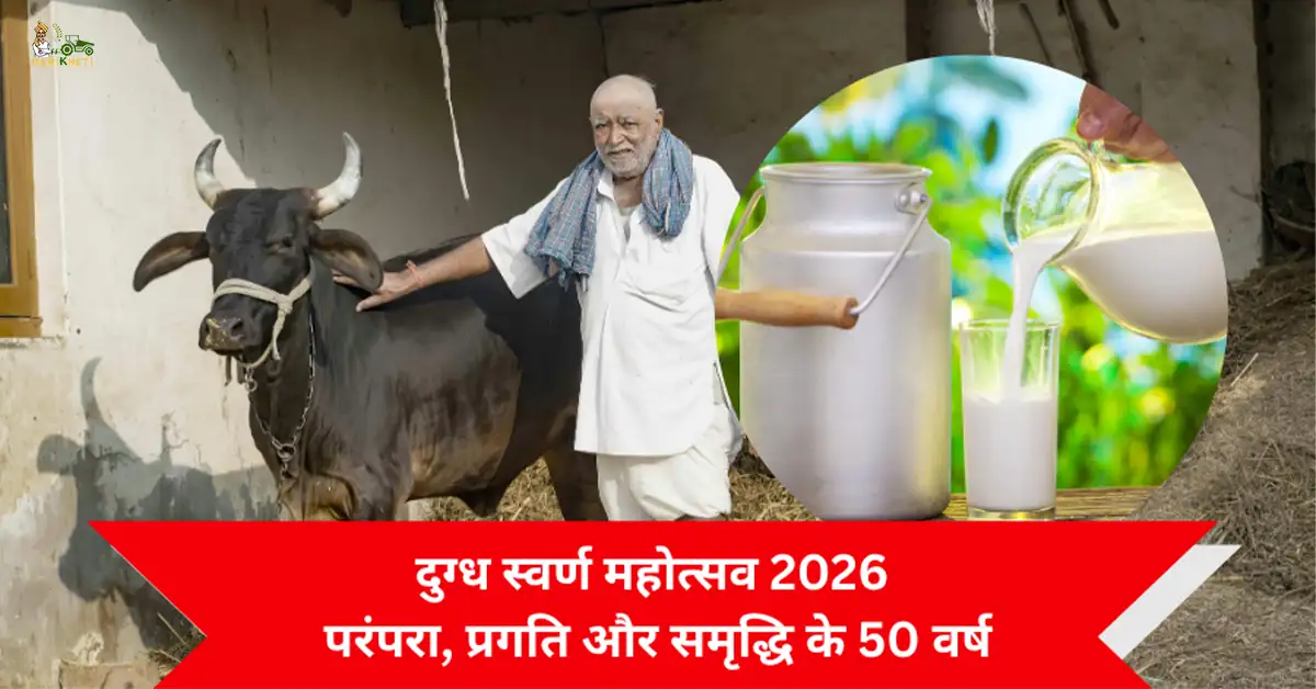 दुग्ध स्वर्ण महोत्सव 2026: परंपरा, प्रगति और समृद्धि के 50 वर्ष