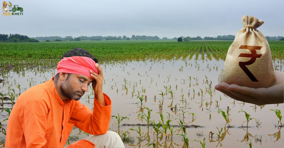 बारिश और बाढ़ से फसल नुकसान पर किसानों को सरकार देगी ₹22,500 प्रति हेक्टेयर तक मुआवजा