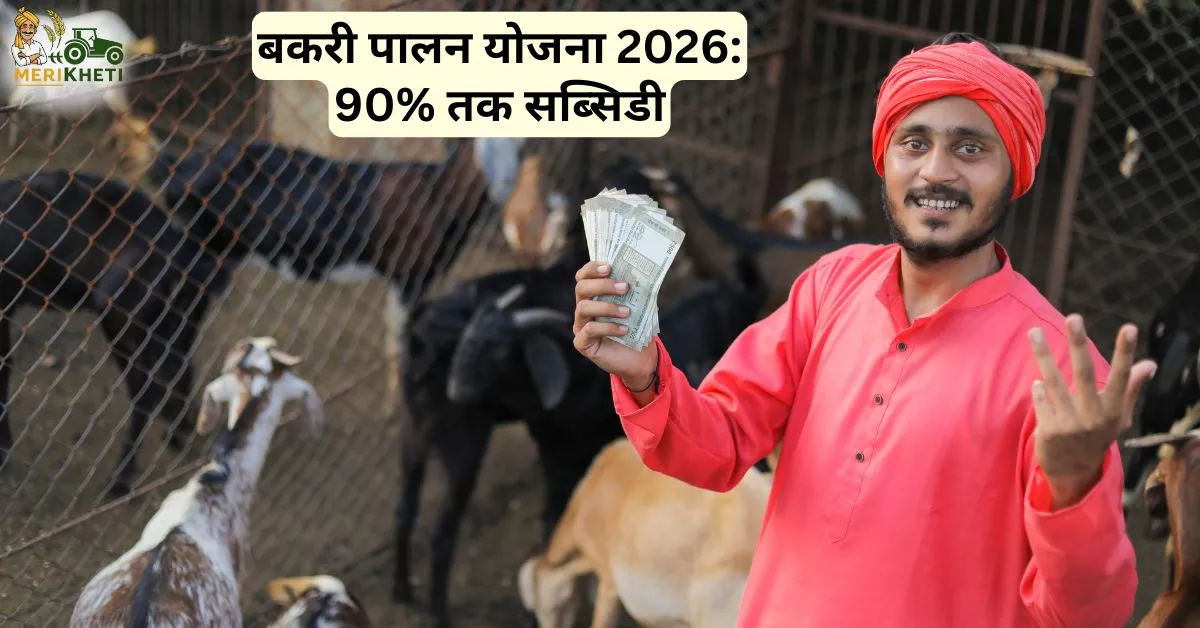 बकरी पालन योजना 2026: 90% तक सब्सिडी, आवेदन और लाभ की पूरी जानकारी