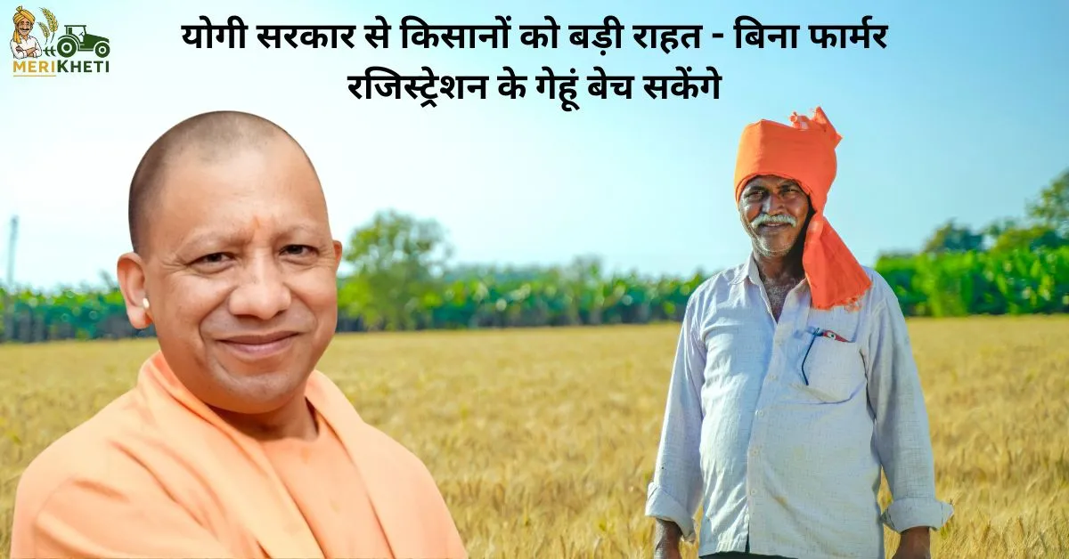 सरकार से किसानों को बड़ी राहत - बिना फार्मर रजिस्ट्रेशन के बेच सकेंगे गेहूं