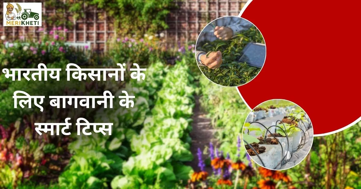 आधुनिक बागवानी: भारतीय किसानों के लिए स्मार्ट खेती टिप्स