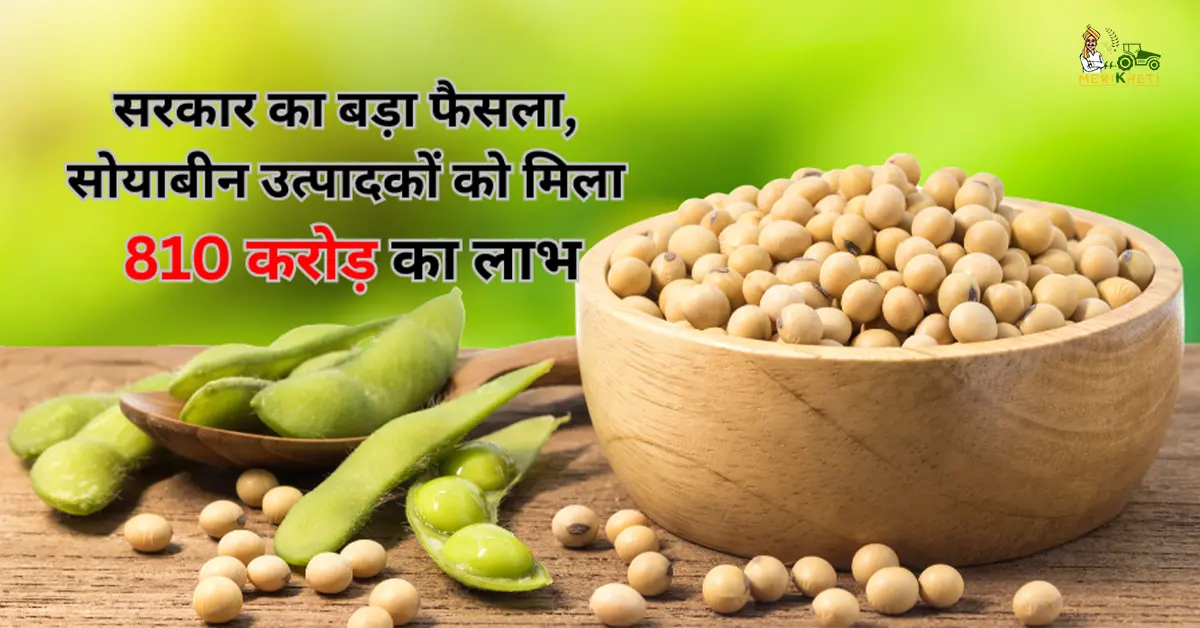 सरकार का बड़ा फैसला - सोयाबीन उत्पादकों को मिला 810 करोड़ का लाभ
