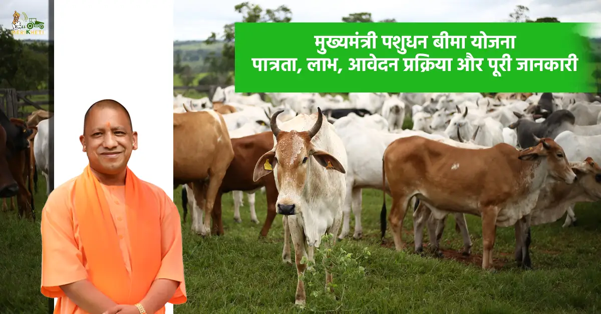 मुख्यमंत्री जोखिम प्रबंधन एवं पशुधन बीमा योजना: यूपी के पशुपालकों के लिए नई सुरक्षा, जानें पात्रता और लाभ 