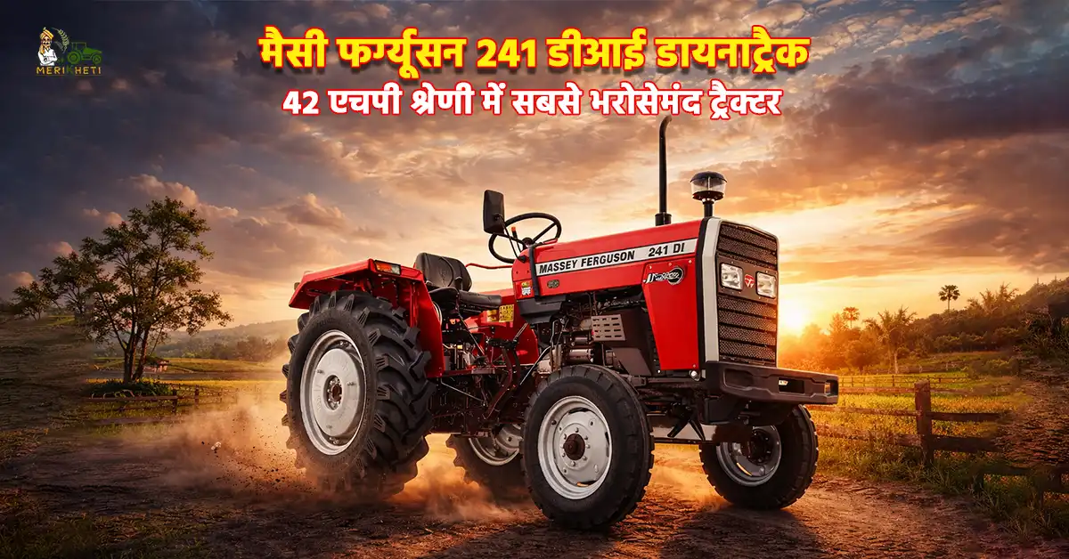 मैसी फर्ग्यूसन 241 डीआई डायनाट्रैक: 42 एचपी श्रेणी में सबसे भरोसेमंद ट्रैक्टर