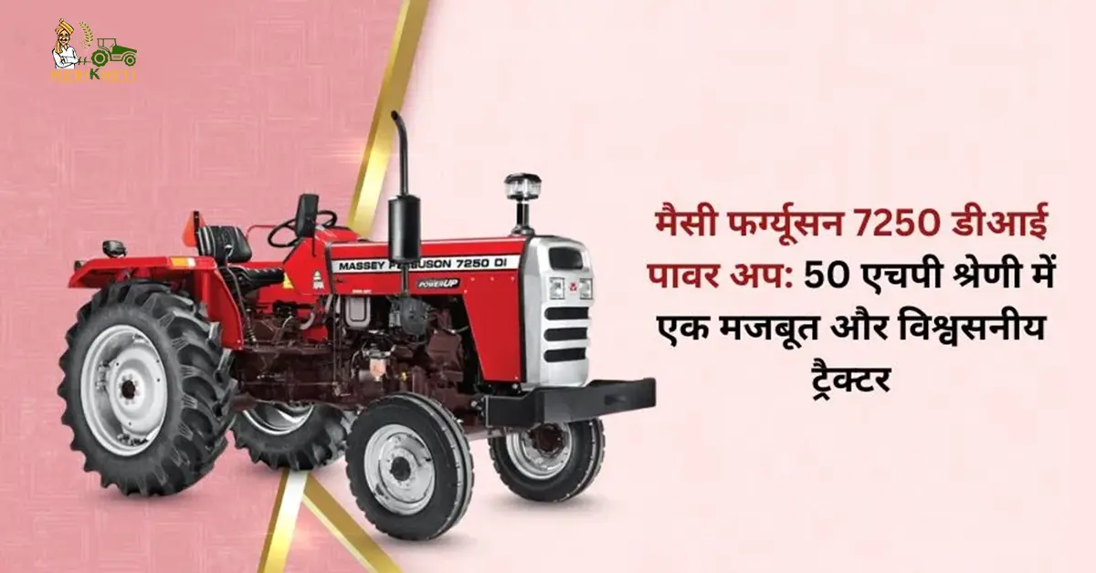 मैसी फर्ग्यूसन 7250 डीआई पावर अप हाई परफॉर्मेंस वाला लोकप्रिय ट्रैक्टर