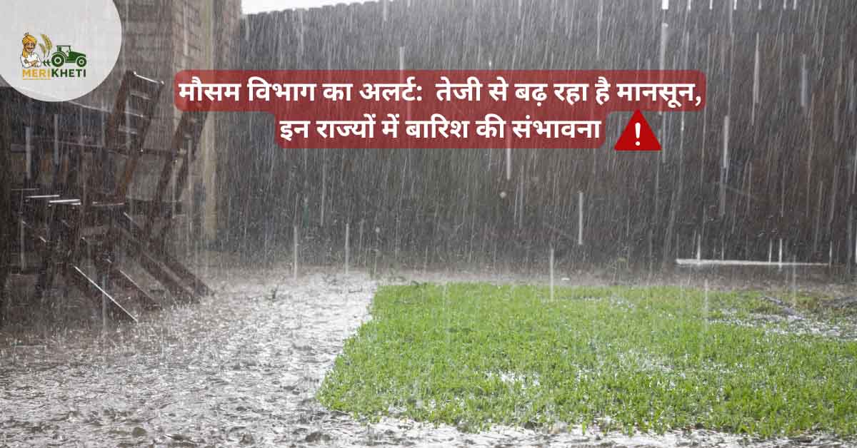 मौसम विभाग का अलर्ट: तेजी से बढ़ रहा है मानसून, इन राज्यों में बारिश की संभावना