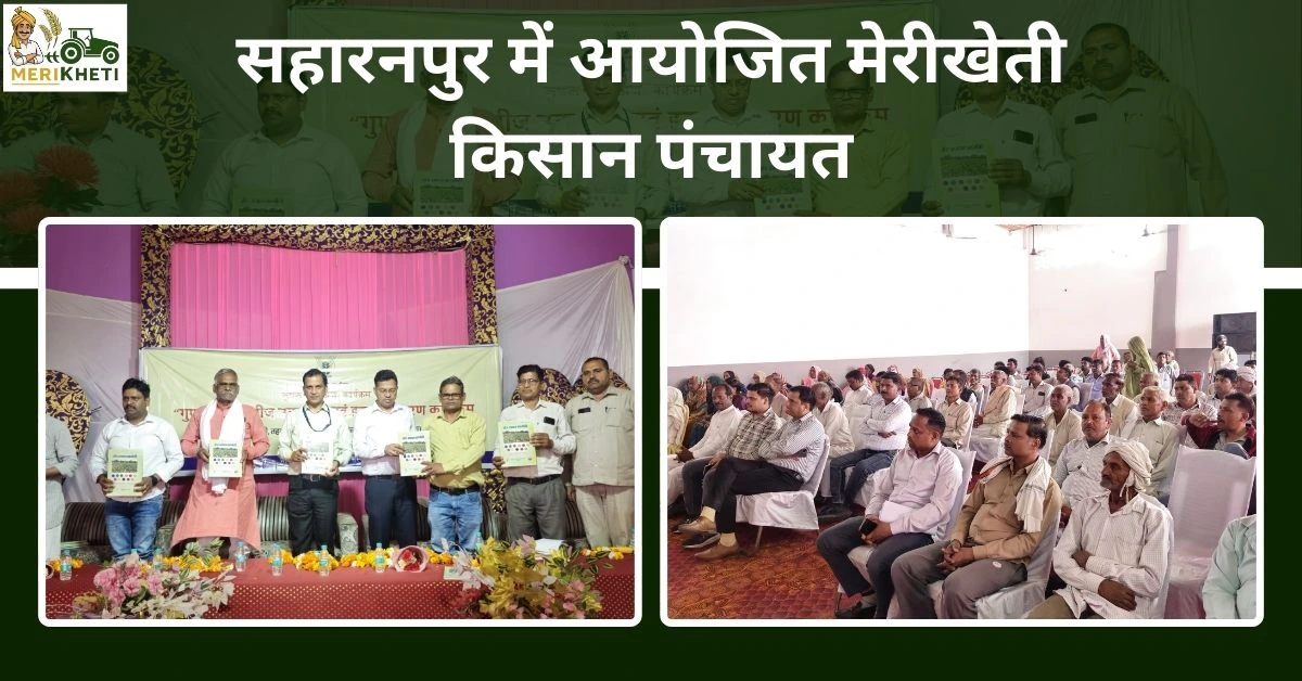 सहारनपुर में आयोजित मेरीखेती किसान पंचायत: पूसा वैज्ञानिकों ने बताए बीज उत्पादन और फसल प्रबंधन के आधुनिक तरीके