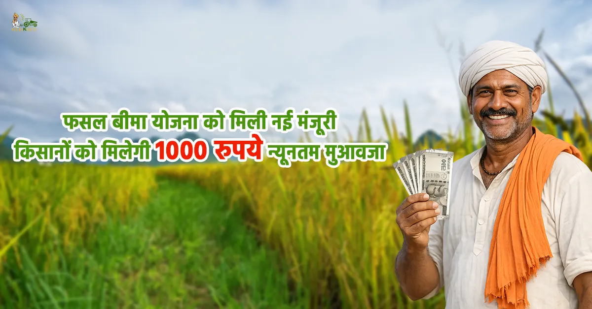 प्रधानमंत्री फसल बीमा योजना को मिली नई मंजूरी, किसानों को हर मौसम में मिलेगा 1000 रुपये न्यूनतम मुआवजा