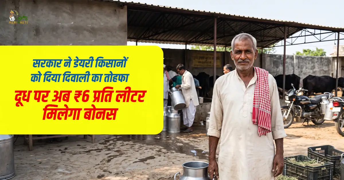 सरकार ने डेयरी किसानों को दिया दिवाली का तोहफा: दूध पर अब ₹6 प्रति लीटर मिलेगा बोनस