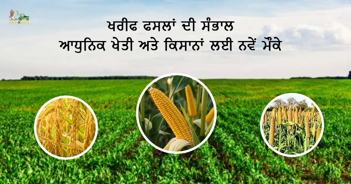 ਅਗਸਤ ਦਾ ਮਹੀਨਾ – ਖਰੀਫ ਫਸਲਾਂ ਦੀ ਸੰਭਾਲ, ਆਧੁਨਿਕ ਖੇਤੀ ਅਤੇ ਕਿਸਾਨਾਂ ਲਈ ਨਵੇਂ ਮੌਕੇ