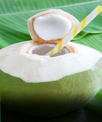 गर्मियों में नारियल पानी क्यों पियें?