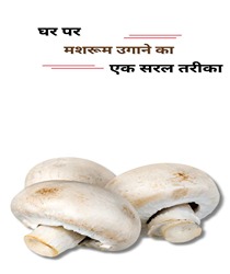 घर पर मशरूम उगाना: एक सरल गाइड (How to Grow Mushrooms at Home: A Simple Guide in Hindi)