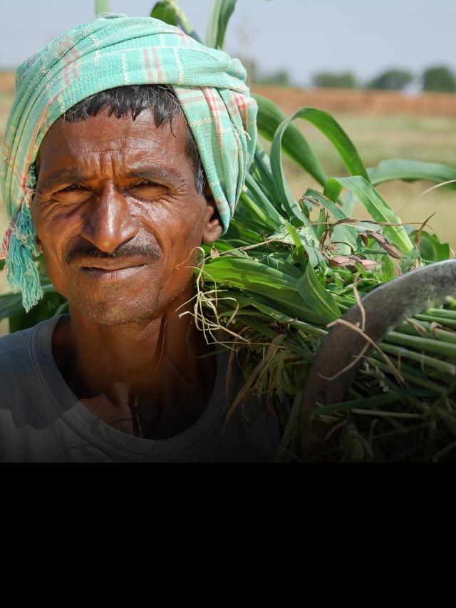 ‘मेरी पॉलिसी मेरे हाथ’ अभियान जारी, किसानों को होगा फायदा