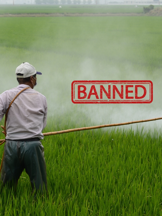 किसान दे ध्यान इन कीटनाशक का अब नही होगा प्रयोग, सरकार ने लगा दिया प्रतिबंध