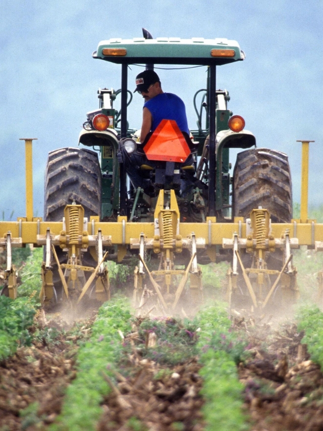 इस राज्य में कृषि उपकरणों पर दिया जा रहा है 50 प्रतिशत तक अनुदान