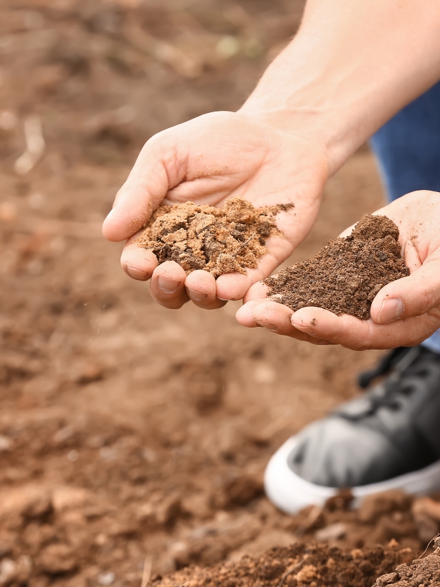 घर पर मिट्टी के परीक्षण के चार आसान तरीके