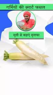 कम समय, ज़्यादा कमाई – गर्मियों में करें मूली की खेती