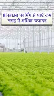 ग्रीनहाउस फार्मिंग से पाएं कम जगह में अधिक उत्पादन