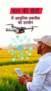 कम लागत, ज़्यादा उत्पादन: धान की खेती में आधुनिक उपाय