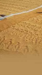 कृषि उत्पादों का सही भंडारण कैसे करें?
